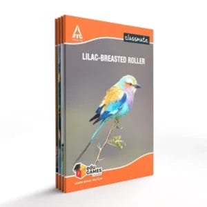 Classmate A4 softcover Notebooks