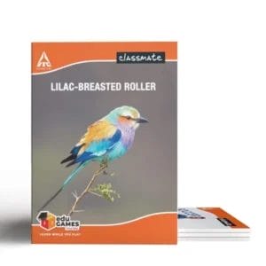 Classmate A4 ruled notebooks 160 pages