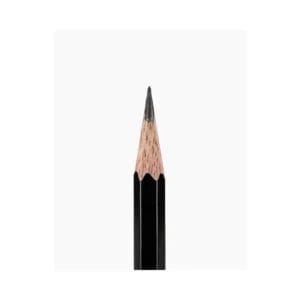 Untitled design   2025 02 26T204822.263